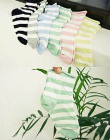 roll - stripe socks 6color set! 3차입고
